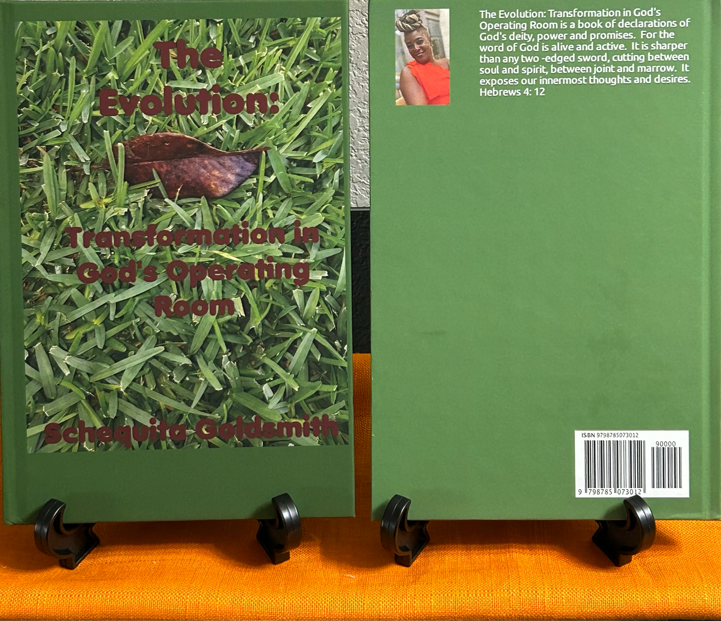 The Evolution: Transformation in God's Operating Room-Book 3 of 8 of The Transformational Message Series